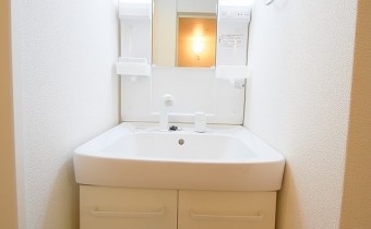 シャンプードレッサー