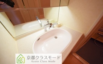 シャンプードレッサー