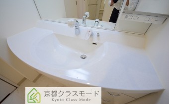シャンプードレッサー