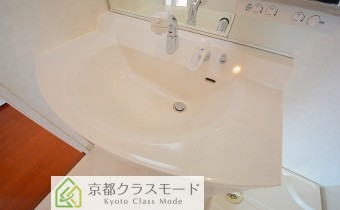 シャンプードレッサー