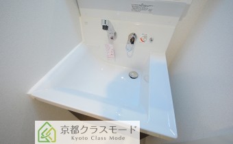 シャンプードレッサー