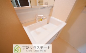 シャンプードレッサー