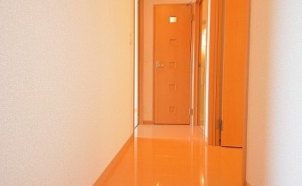 廊下　※室内写真は同建物内の103号室のものです。