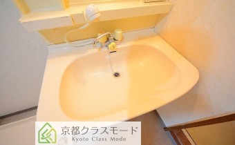 シャンプードレッサー