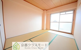 和6