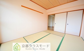 和6