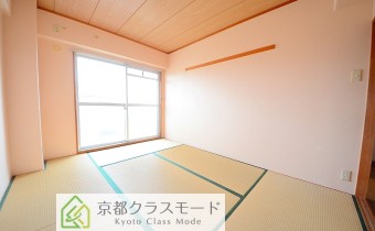 和6