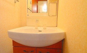 シャンプードレッサー