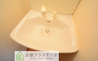 シャンプードレッサー