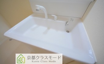 シャンプードレッサー