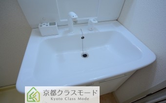 シャンプードレッサー