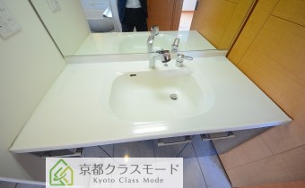 シャンプードレッサー