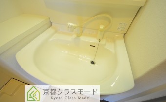 シャンプードレッサー