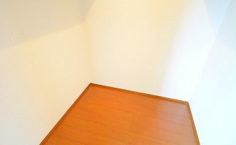 ウォークインクローゼット・別アングル