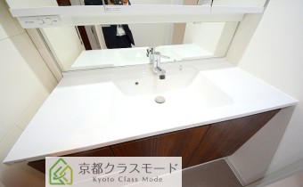 シャンプードレッサー