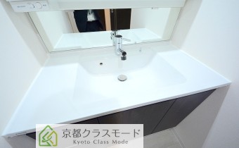 シャンプードレッサー