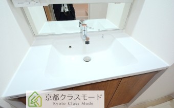 シャンプードレッサー