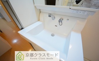 シャンプードレッサー