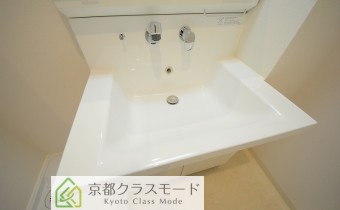 シャンプードレッサー