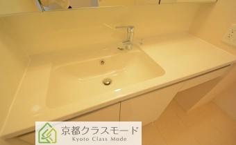 シャンプードレッサー