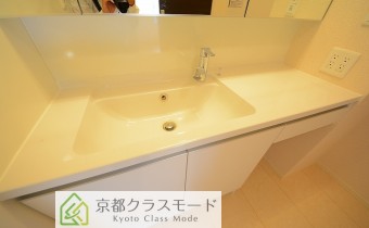 シャンプードレッサー