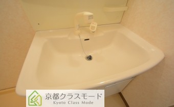 シャンプードレッサー