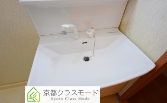 シャンプードレッサー