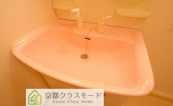 シャンプードレッサー