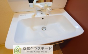 シャンプードレッサー