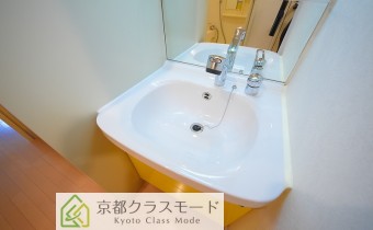 シャンプードレッサー