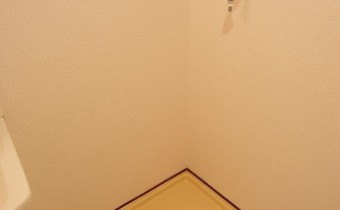 室内洗濯機置場