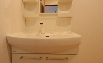 シャンプードレッサー