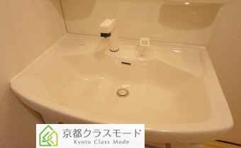 シャンプードレッサー