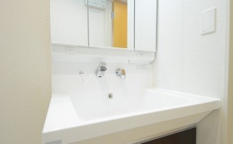 シャンプードレッサー