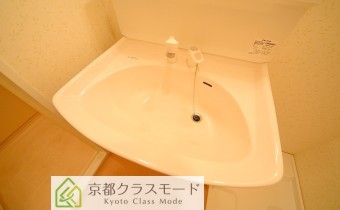 シャンプードレッサー