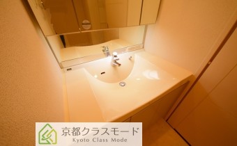 シャンプードレッサー