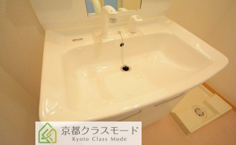 シャンプードレッサー