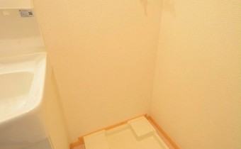 室内洗濯機置場