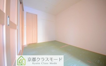 和5