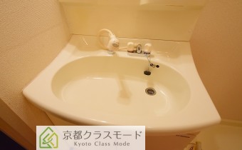シャンプードレッサー※同マンション別室の写真です