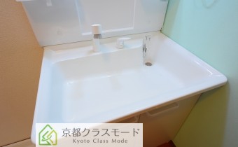 シャンプードレッサー