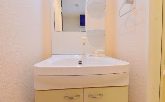 シャンプードレッサー