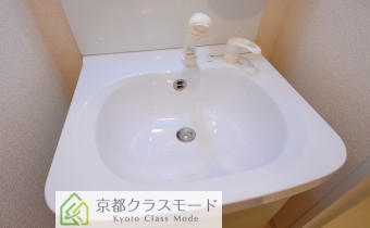 シャンプードレッサー