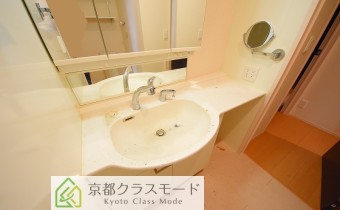 シャンプードレッサー