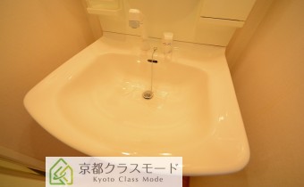 シャンプードレッサー