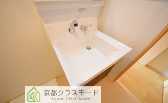 シャンプードレッサー