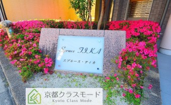 Spruce TIKA(スプルース･ティカ)