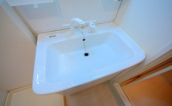 シャンプードレッサー