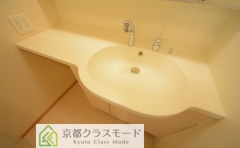 シャンプードレッサー