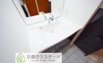 シャンプードレッサータイプ